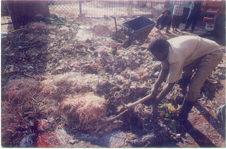 Garbage Collectors in Mysore City